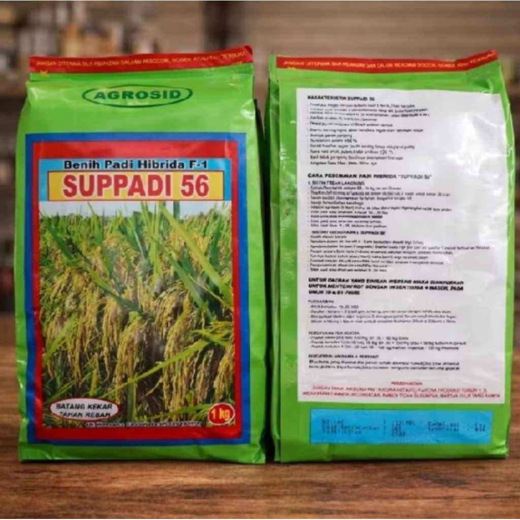 Benih padi suppadi 56 kemasan 1kg kualitas original