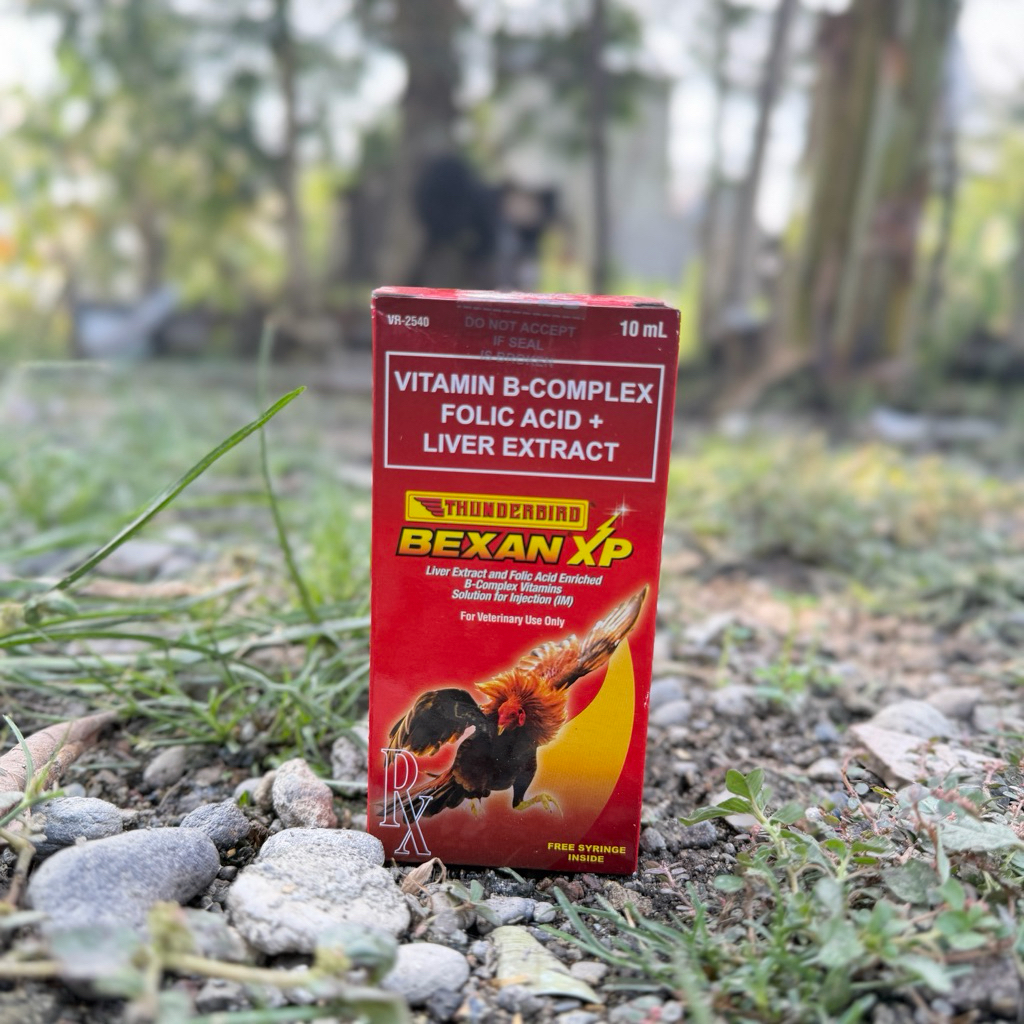 BEXAN XP 10ml
