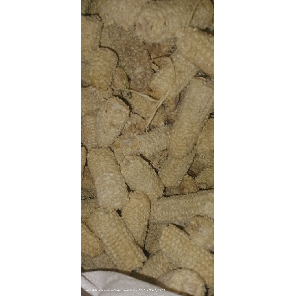 Bonggol jagung kering/janggel jagung