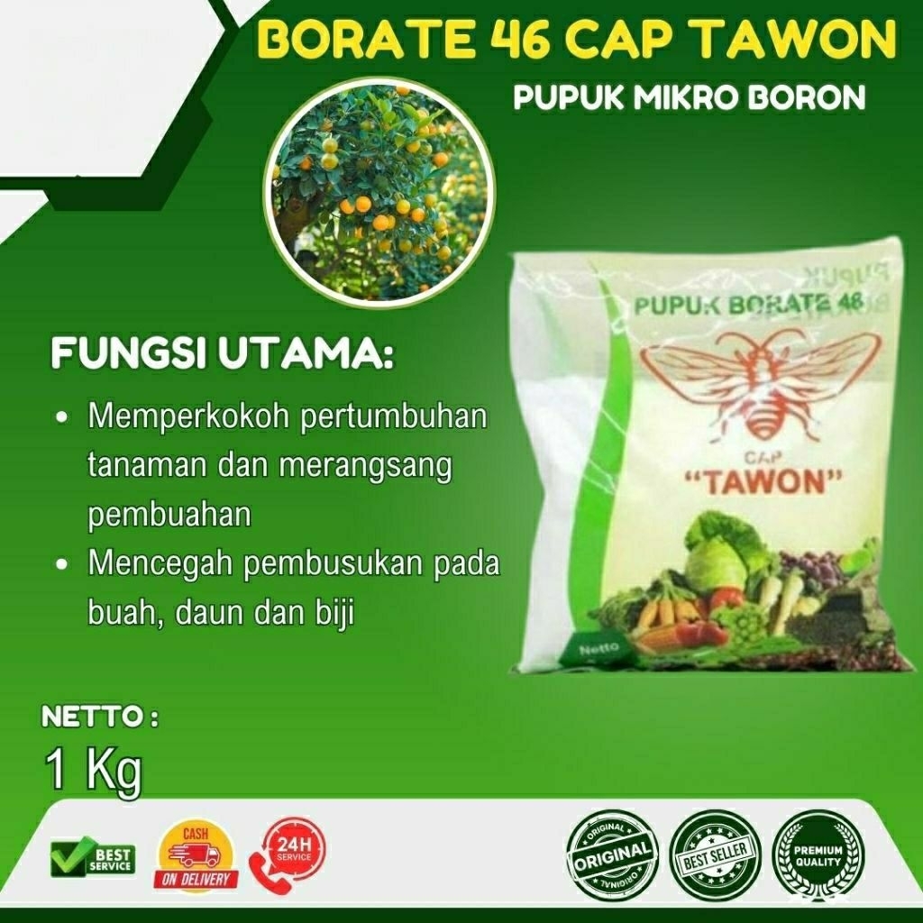 Pupuk Borate 48 Cap Tawon - Pupuk Mikro dengan Boron 48% untuk Segala Jenis Tanaman