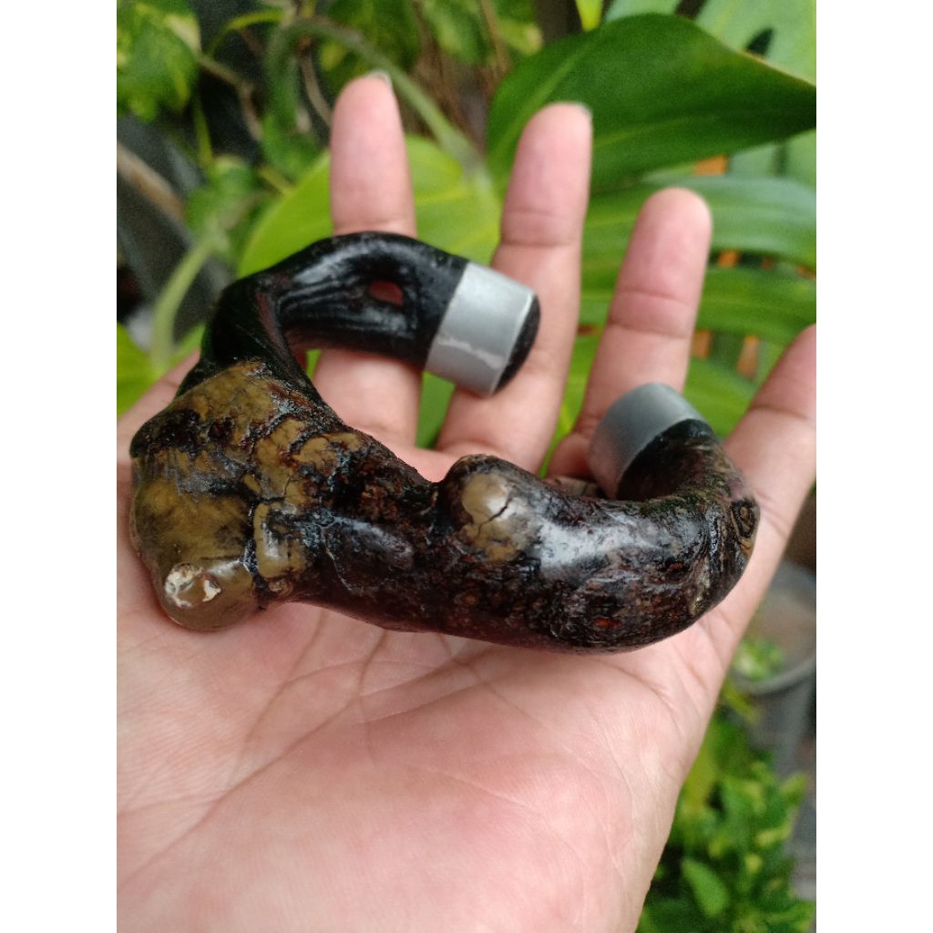 gelang akar Bahar Natural bonggol tengah antik unik kolektor item