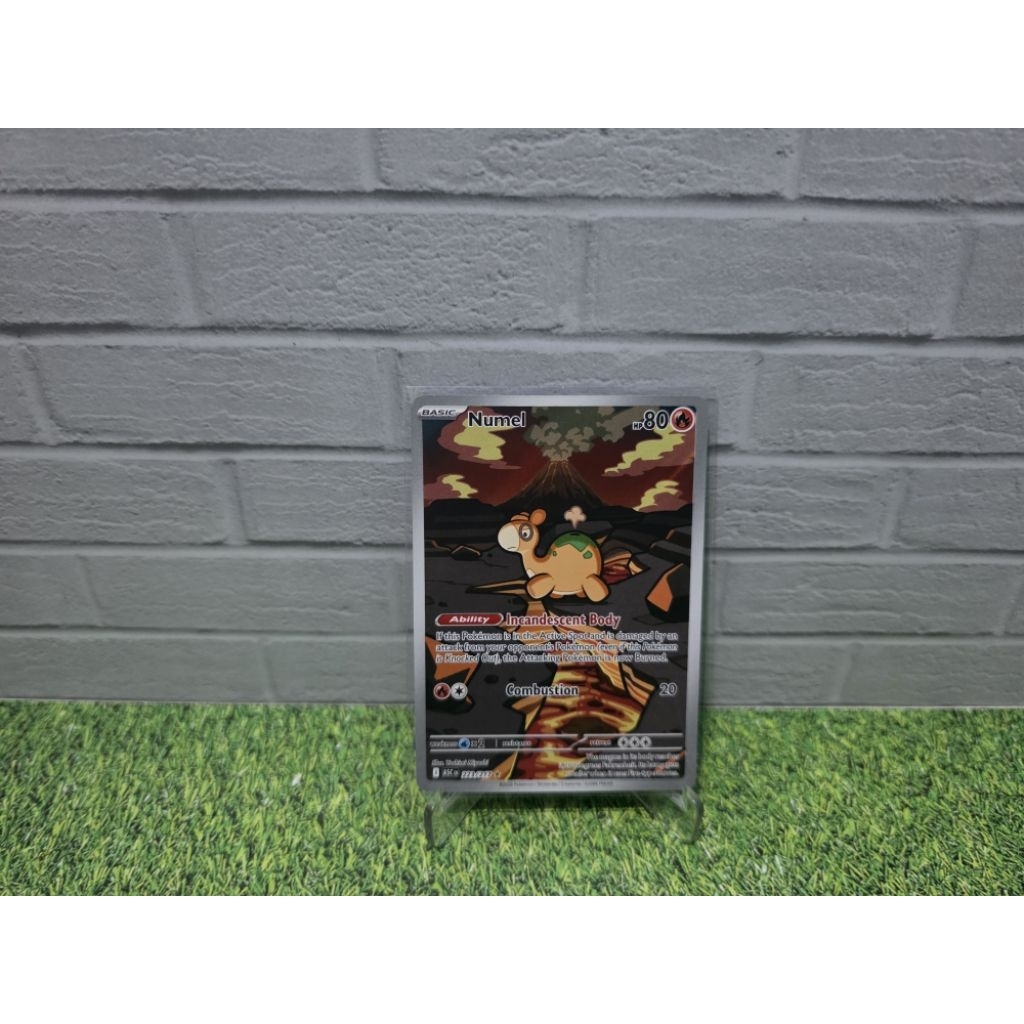 Numel 223/217 Illustration Rare Ascended Heroes