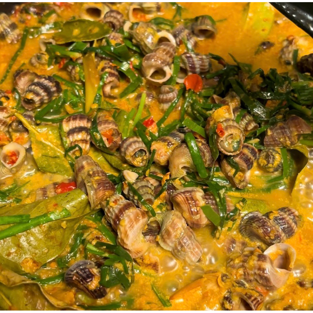 Guali keong nenek| siput sedot | tengkuyung 1kg