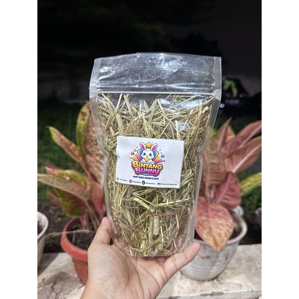 timothy hay pakan kelinci