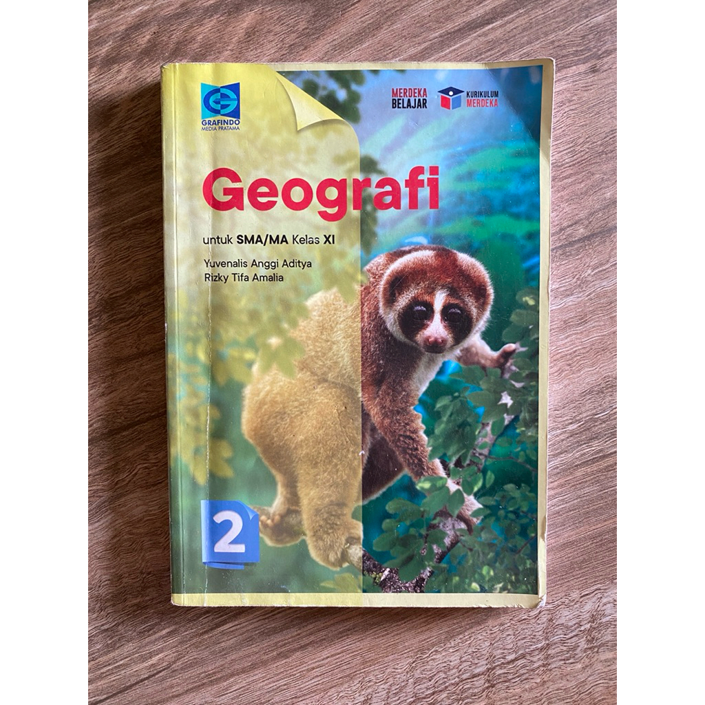 preloved paket geografi kelas 11 grafindo original