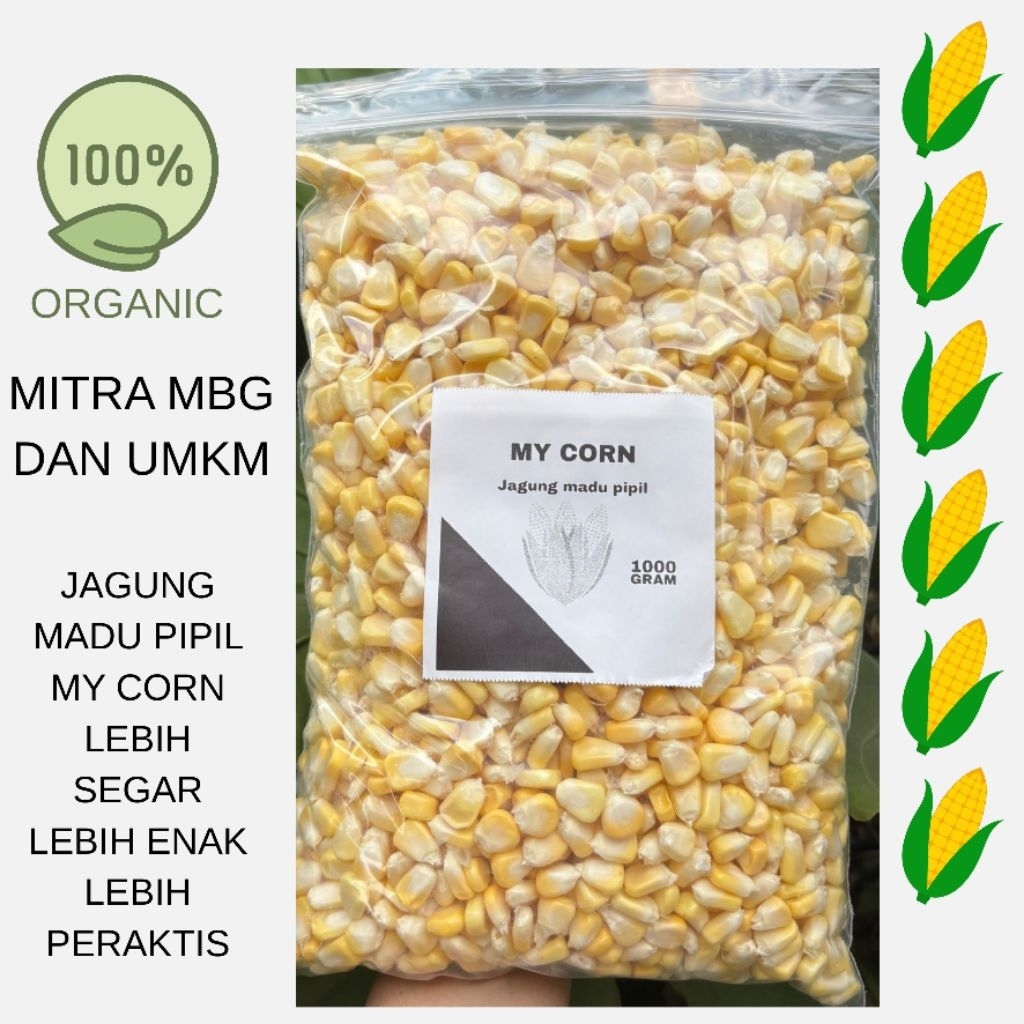 jagung pipil segar 1kg murah enak jagung pipil madu jagung manis pipil 1kg