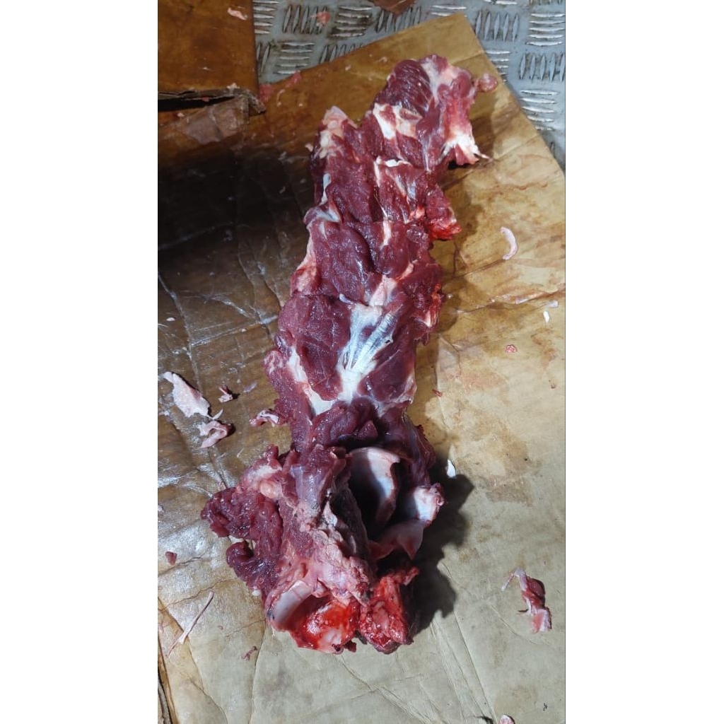 Tulang leher sapi