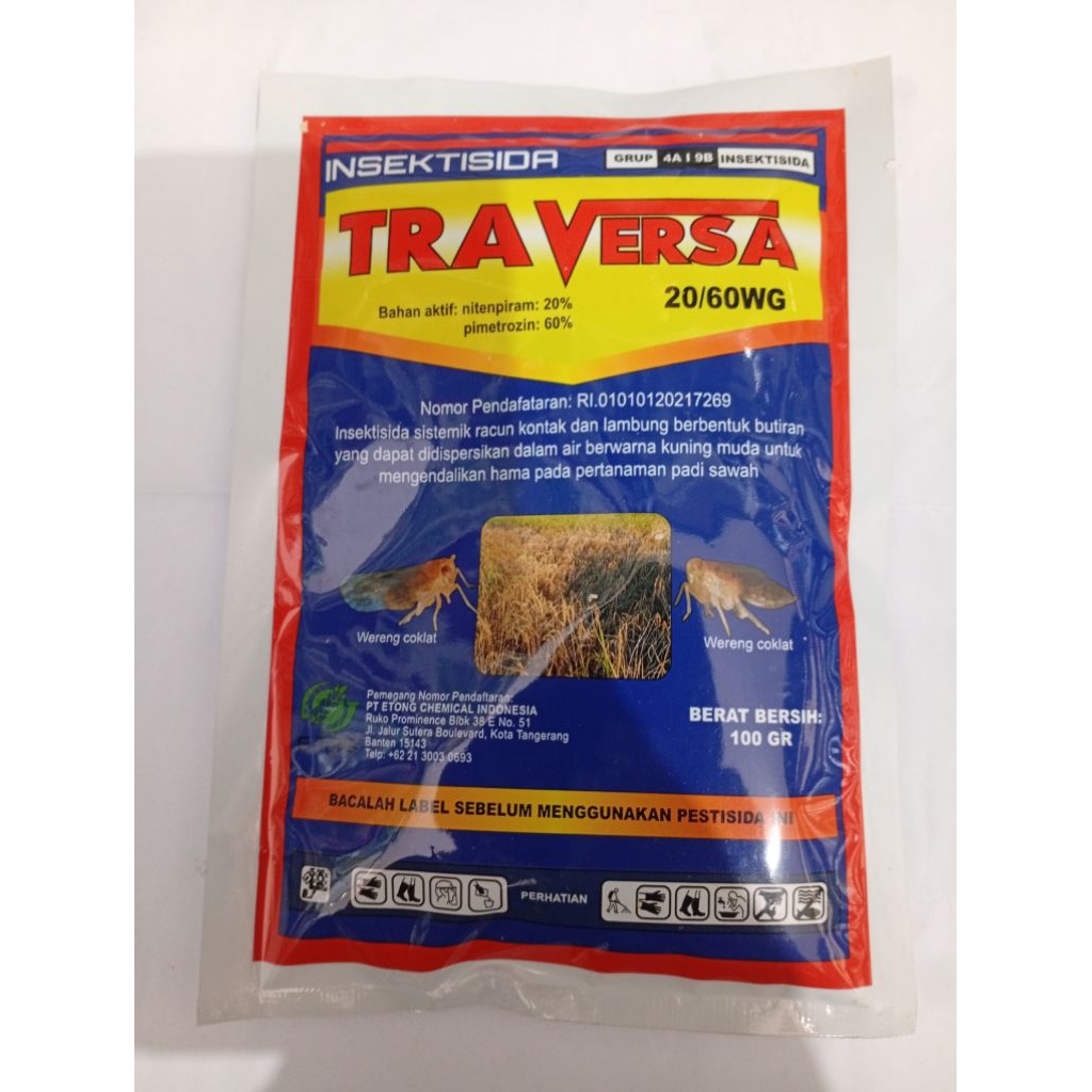 Insektisida Sistemik TRAVERSA 20/60 WG Ampuh basmi wereng/kutu kebul
