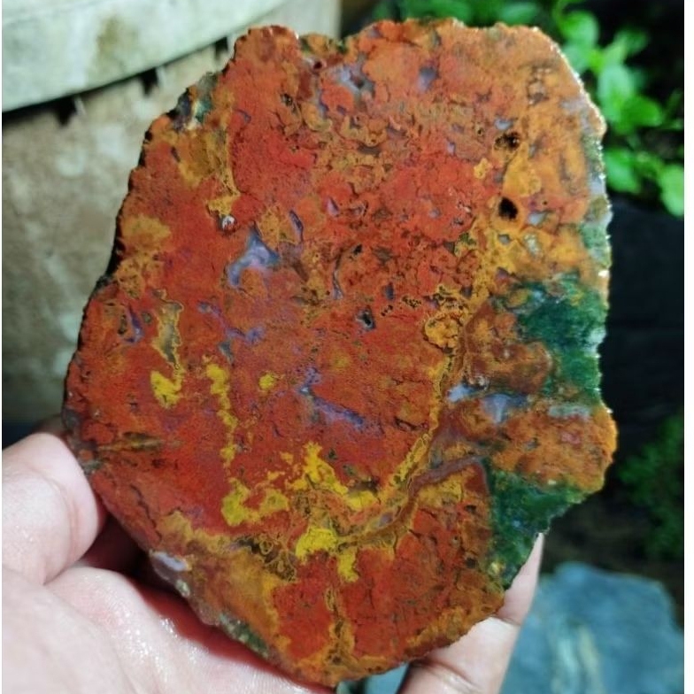 suiseki batu alam bahan batu akik lempengan panca warna bermotif natural istimewa sesuai gambar asli