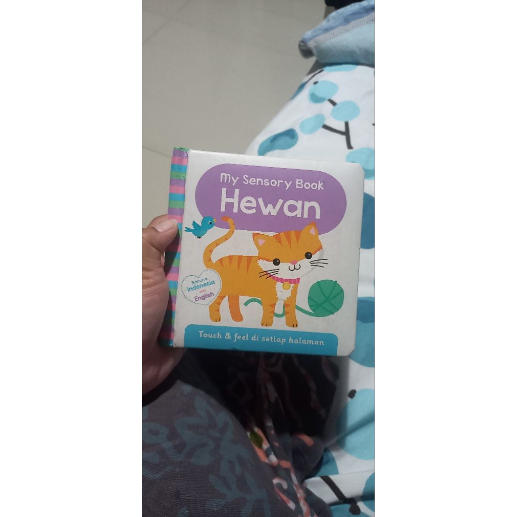 preloved board book/buku anak