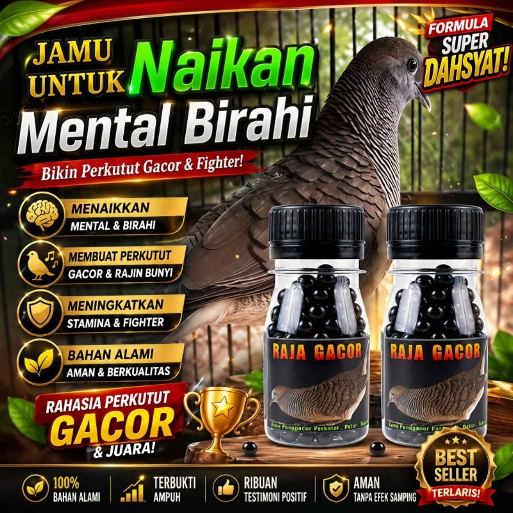 100 BUTIR JAMU BURUNG PERKUTUT RAJA GACOR obat perkutut agar cepat gacor obat malas bunyi full kerot