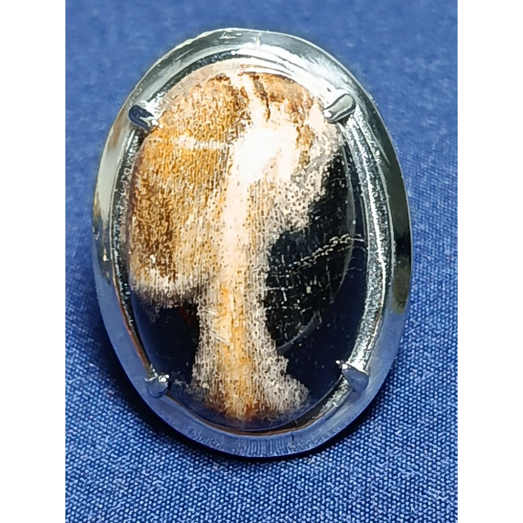 Natural Kelor Petrified Wood, KUYANG / Batu Fosil Kayu Kelor, KUYANG