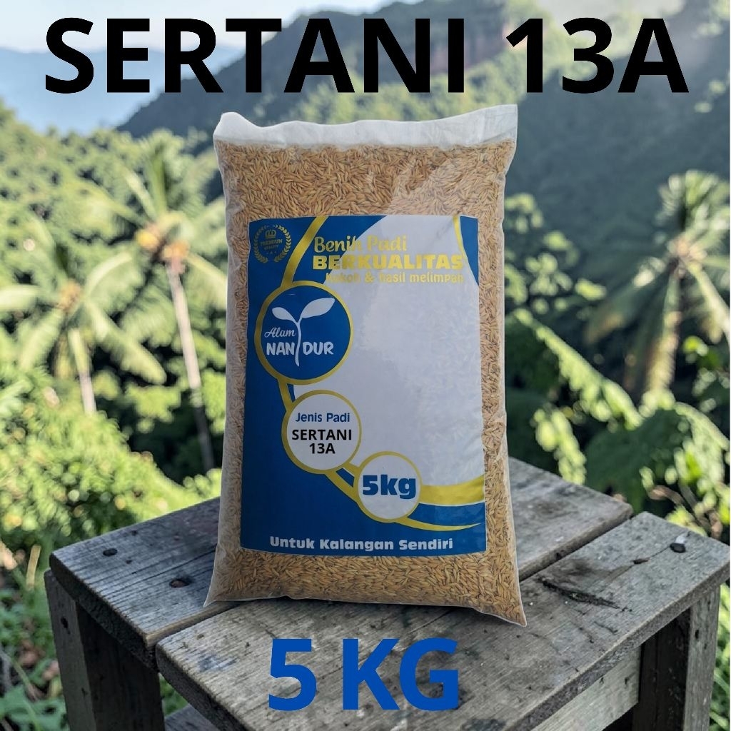 BIBIT | BENIH PADI SERTANI 13A KEMASAN 5KG