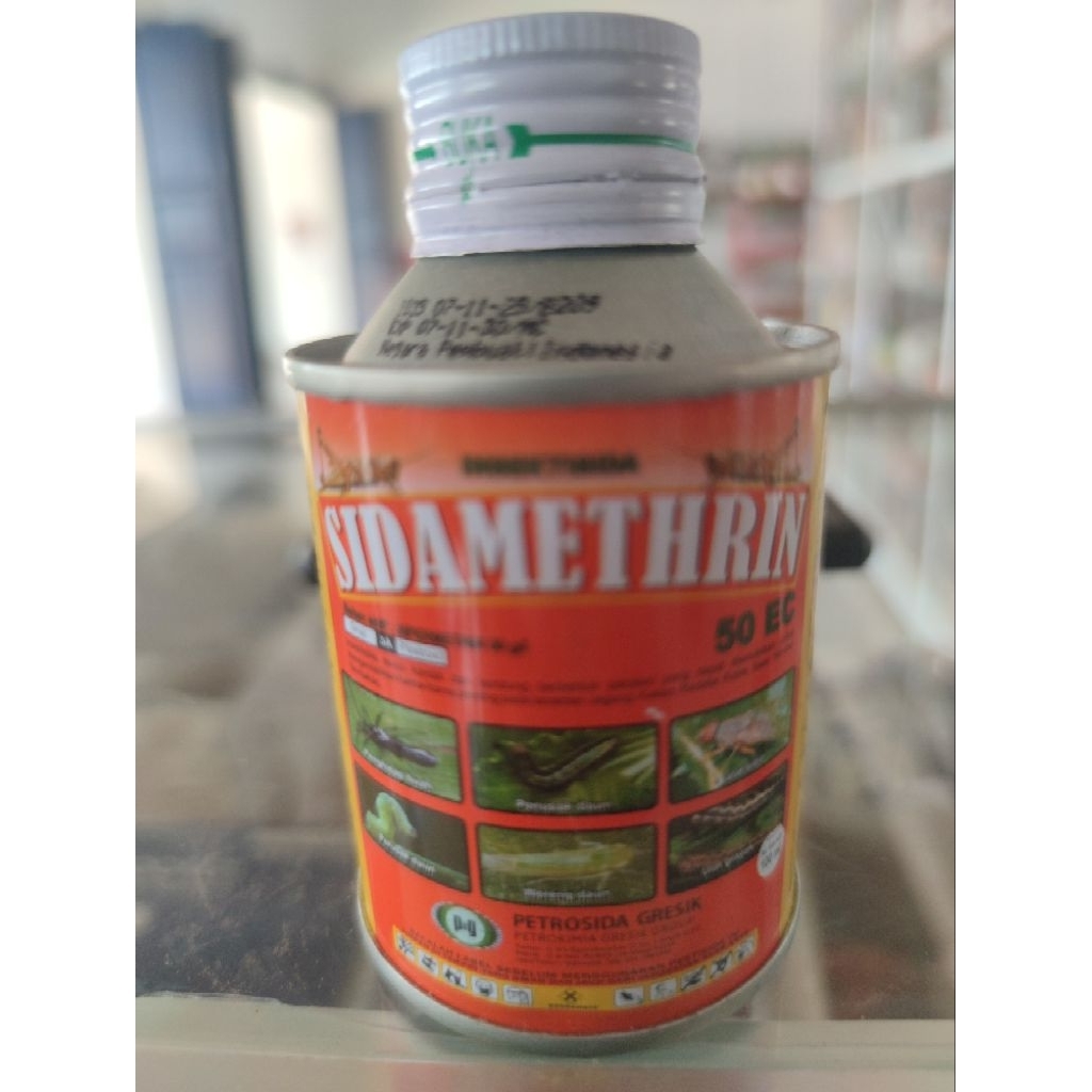sidamethrin kecil