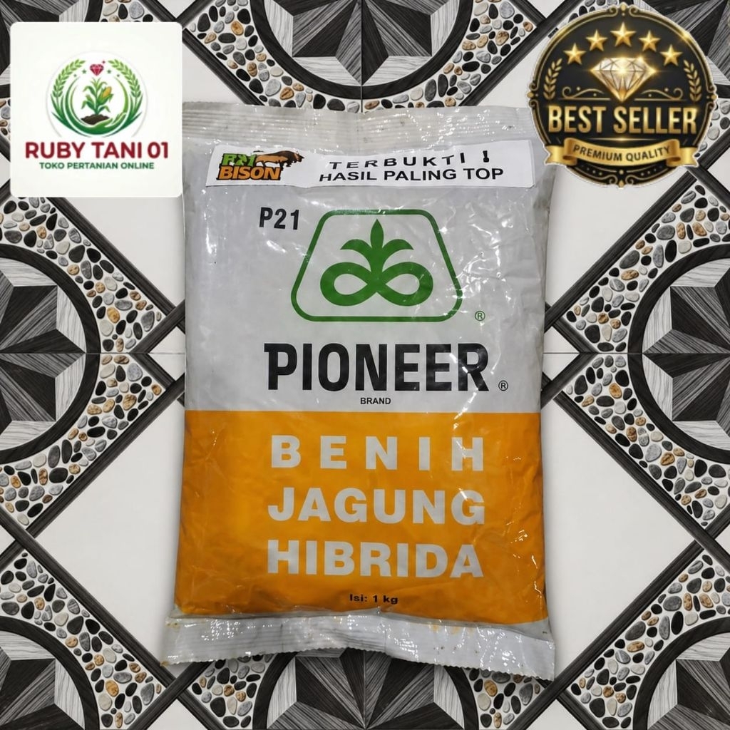 PIONEER P21 BISON Benih Jagung Hibrida Tahan Bulai Hasil Panen Tinggi Kemasan 1kg ORRIGINAL.