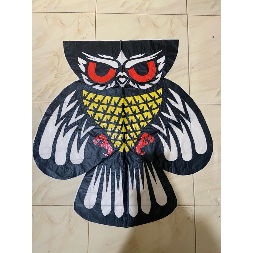 LAYANGAN CELEPUK BURUNG HANTU
