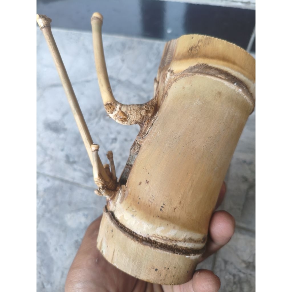 hiasan rumah bambu unik jalu petuk