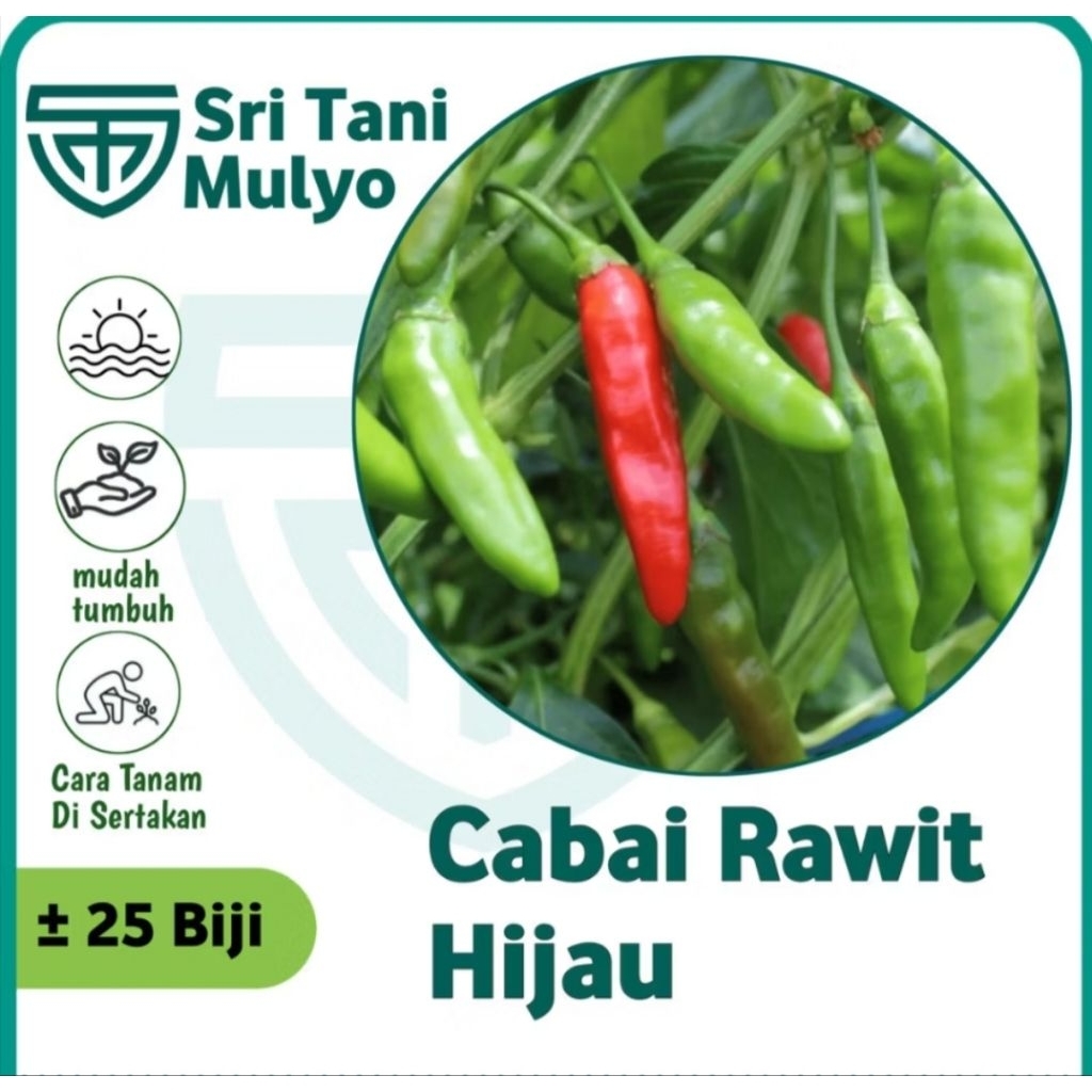 25 Biji - Benih Cabai Rawit Hijau Merunduk BANGKOK IJO - Bibit Sayuran Benih Sayuran Cabe