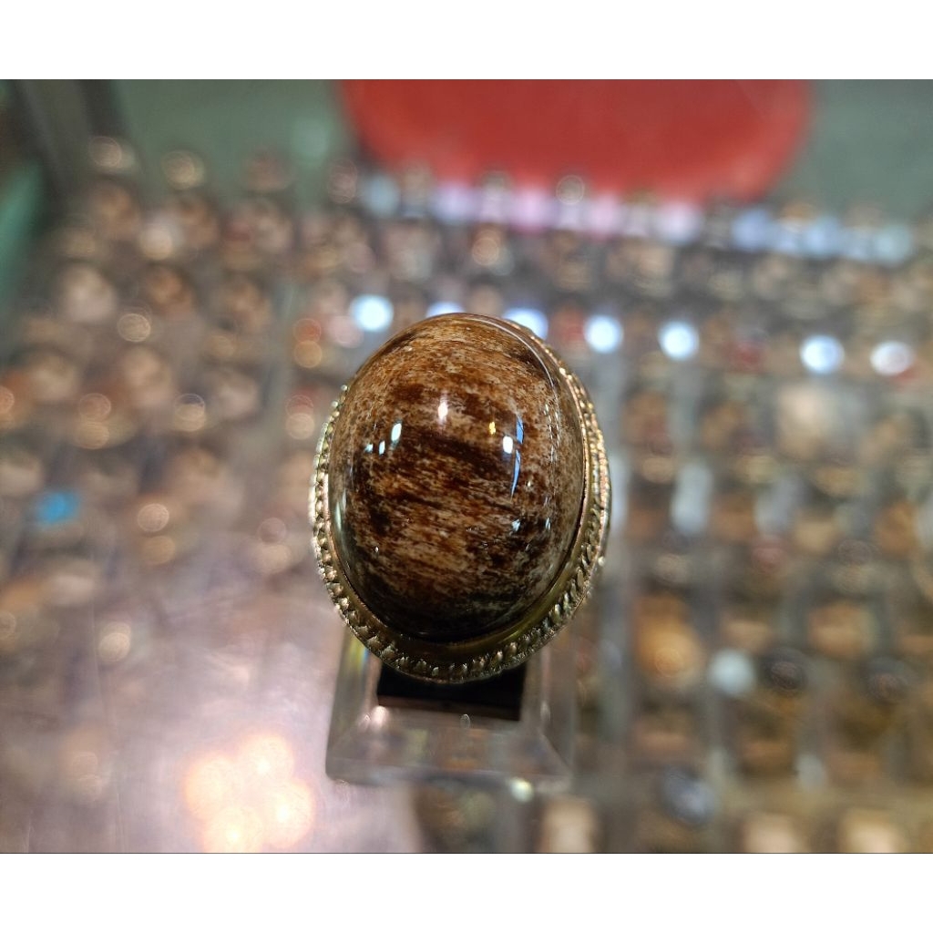Cincin batu Fosil kelor(Natural)