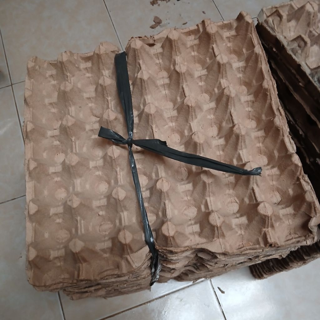Egg Tray Karpet Wadah Tempat Telur Skrat Bekas Second Karton Paper Kotak Ayam Bebek Isi 30