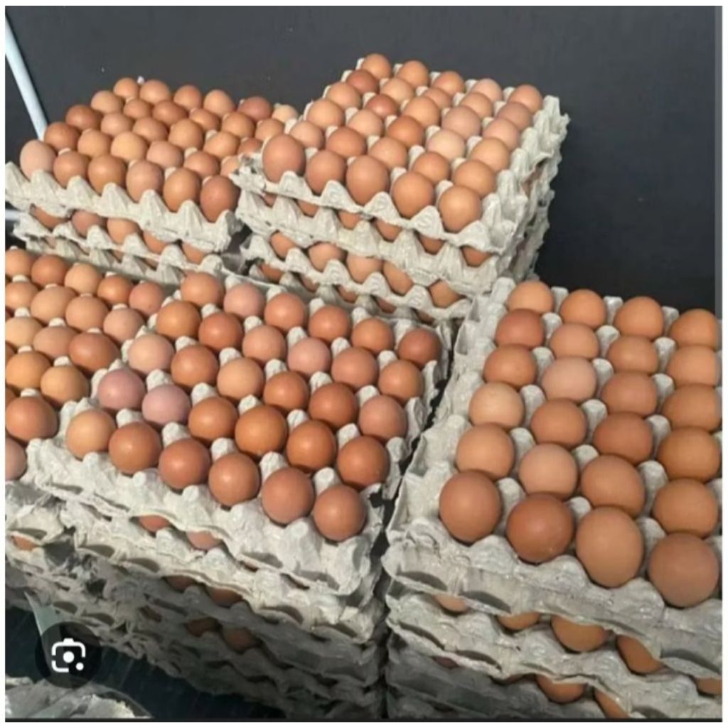 Telur Ayam 1kg
