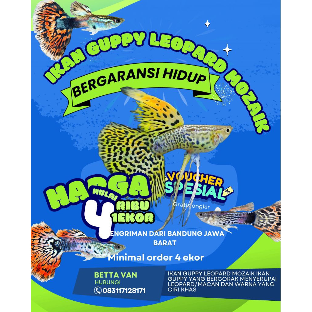 hiasan aquarium paket ternak ikan Guppy leopard mozaik glosiran murah (sudah termasuk harga packing 