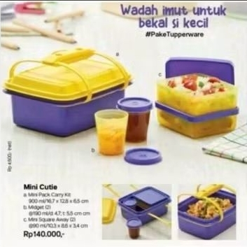Lunch Box Tupperware