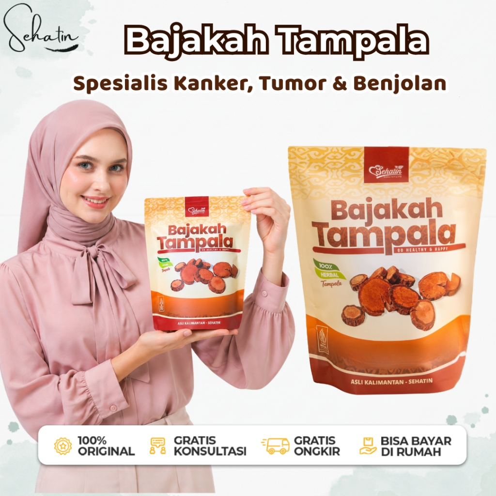 Akar Bajakah Tampala - Spesialis Kanker Tumor Benjolan Kayu Bajakah Tampala Merah Asli Kalimantan