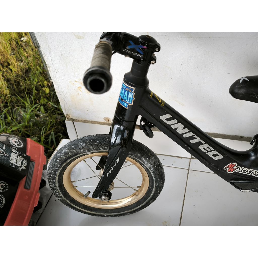 Pushbike United Picabo