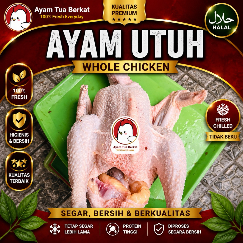 FRESH Ayam Merah Petelor / ayam tua 1,7 kg( HIDUP ) ati ampla ayam tua ayam jakarta