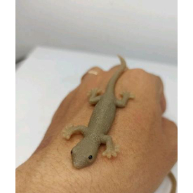 Animal cicak karet mainan anak figure hewan