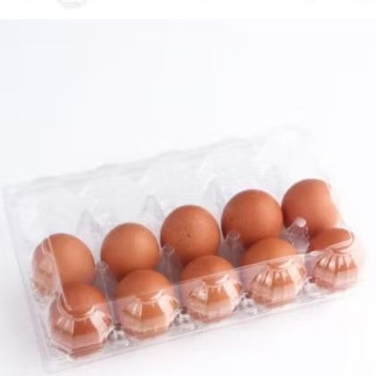 telur ayam kemasan mika isi 10pcs