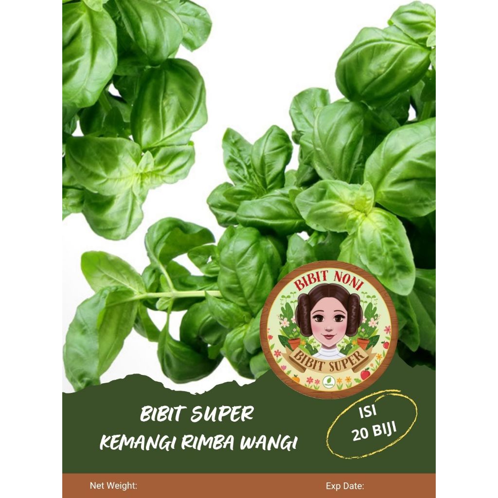 Bibit Super Kemangi Rimba Wangi | Biji Benih Kemangi