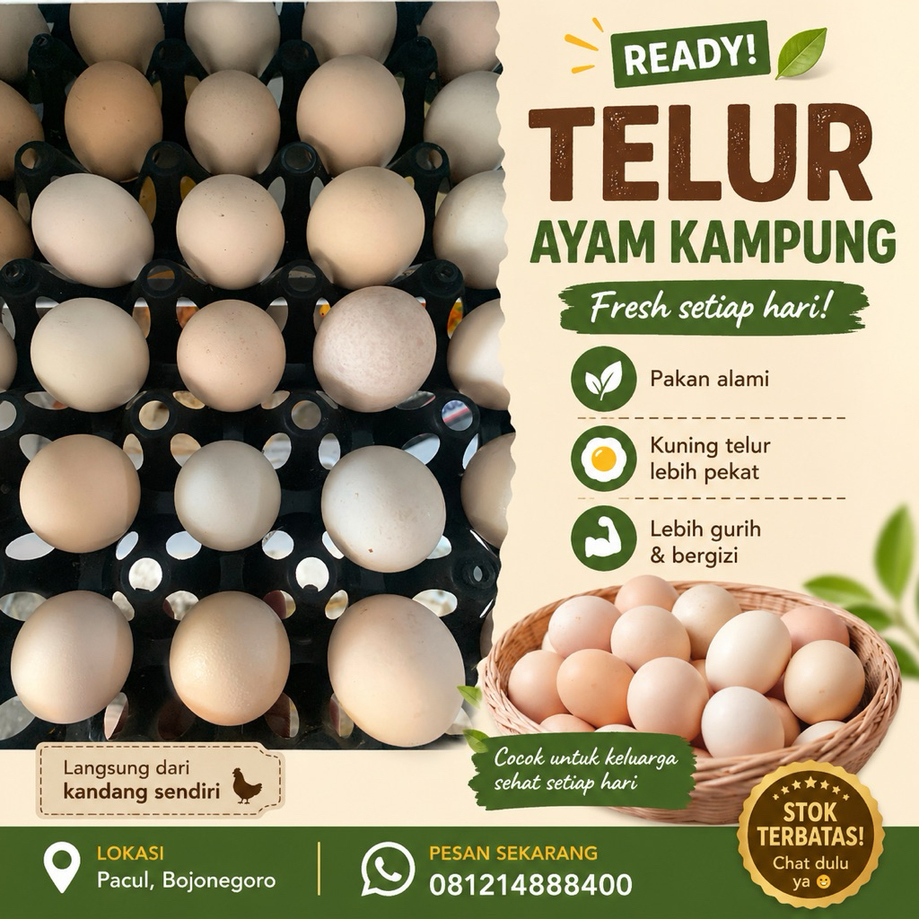 TELUR AYAM KAMPUNG FRESH PAKAN ALAMI