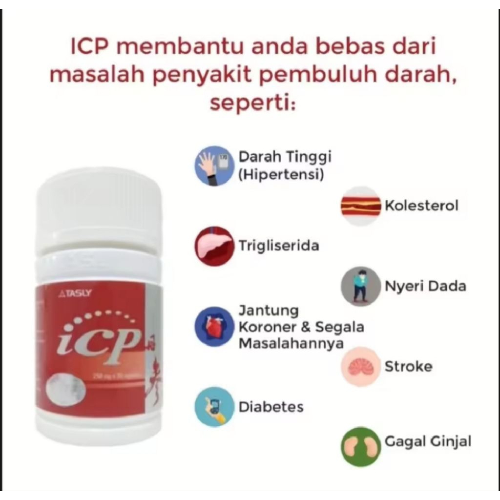 ICP Capsule Asli Original Obat Jantung Stroke HerbalAman tanpa efek samping ICP