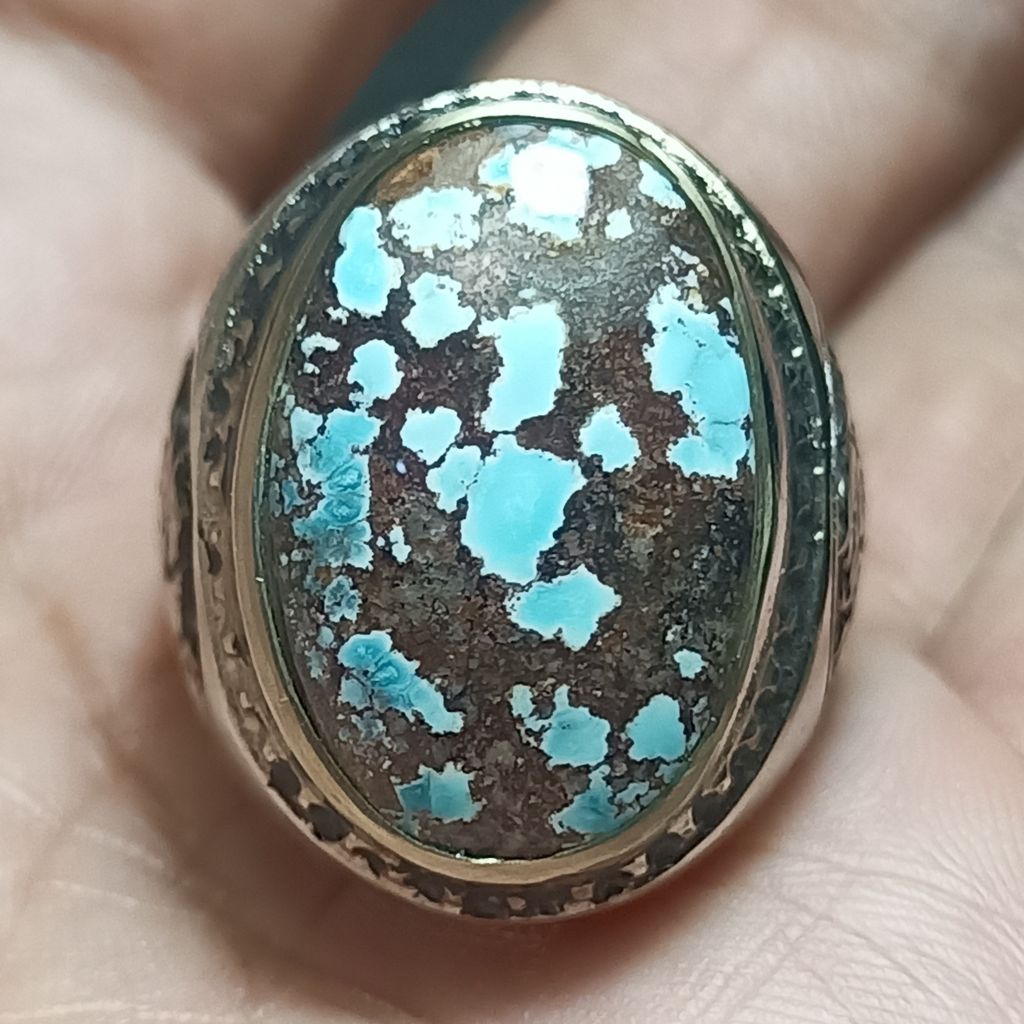 Pirus persia biru tosca ceplok kuro