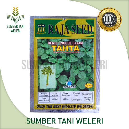 BENIH BAYAM TAHTA - BENIH BAYAM - 100 GR - RAJA SEED