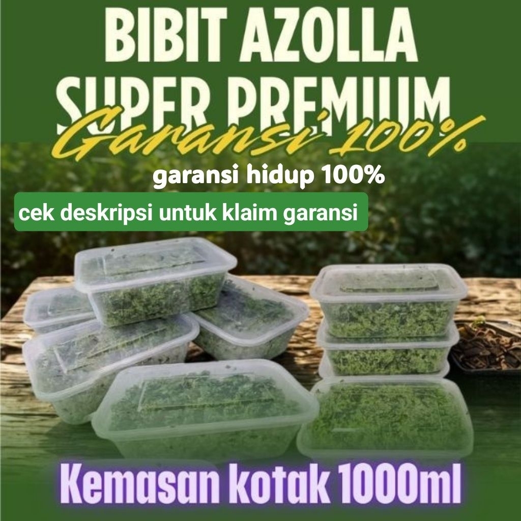 bibit indukan Azolla super premium (garansi hidup sampai tujuan) kemasan 1000 ml pakan ternak ikan n