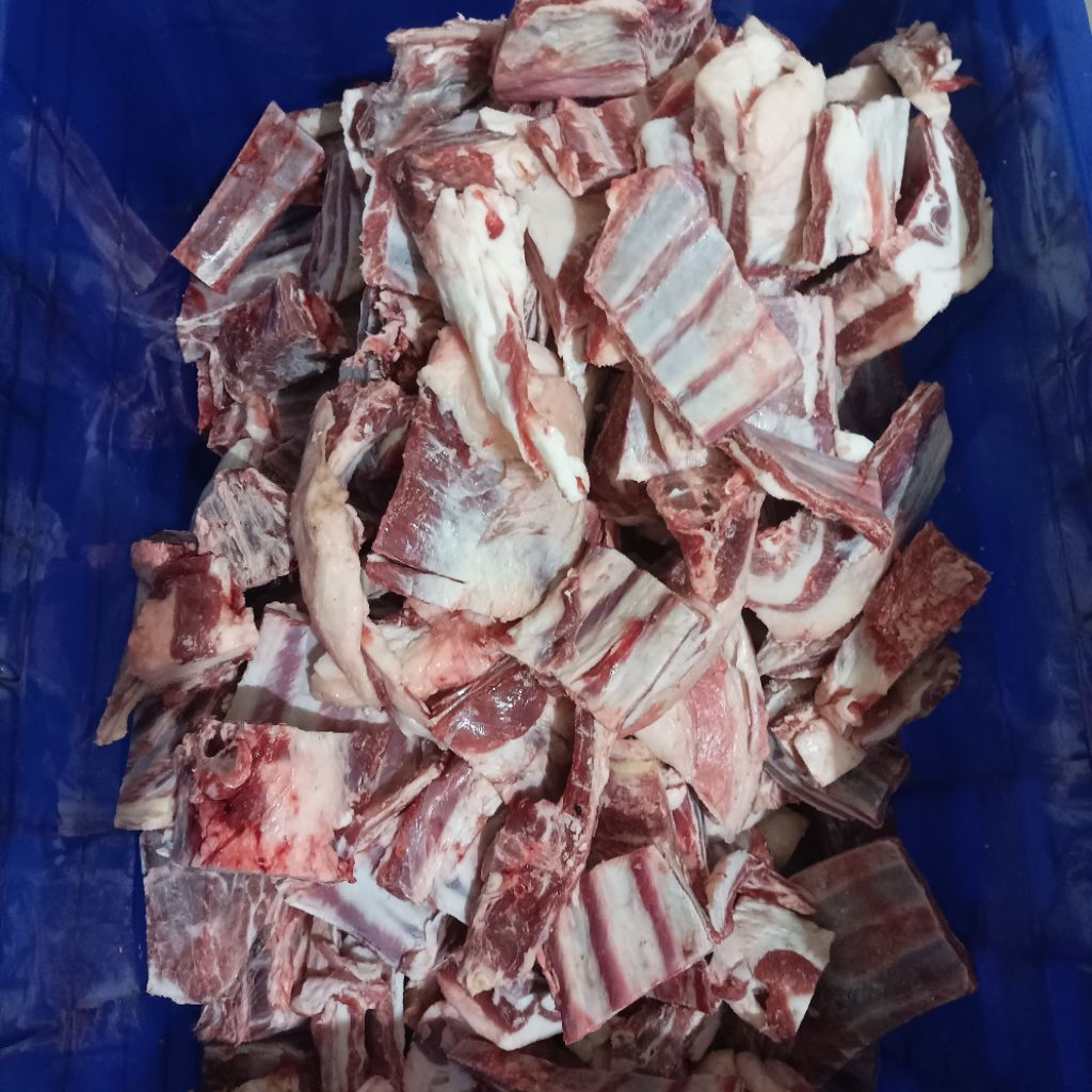 TULANG IGA DOMBA / KAMBING
