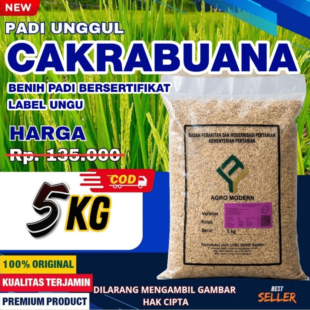 Benih padi bibit padi CAKRABUANA bersertifikat label ungu kualitas original kemasan 5 kg