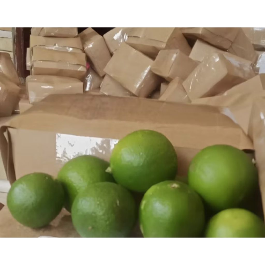 jeruk nipis super fress 1 kg(dipetik saat dikemas)