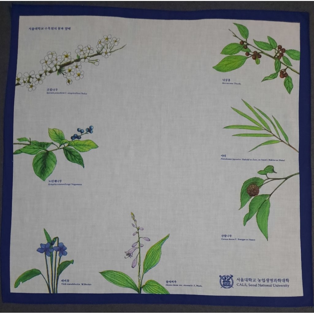 Saputangan Cals, Seoul National University Original Vintage Handkerchief / Bandana / Neckwear / Scar