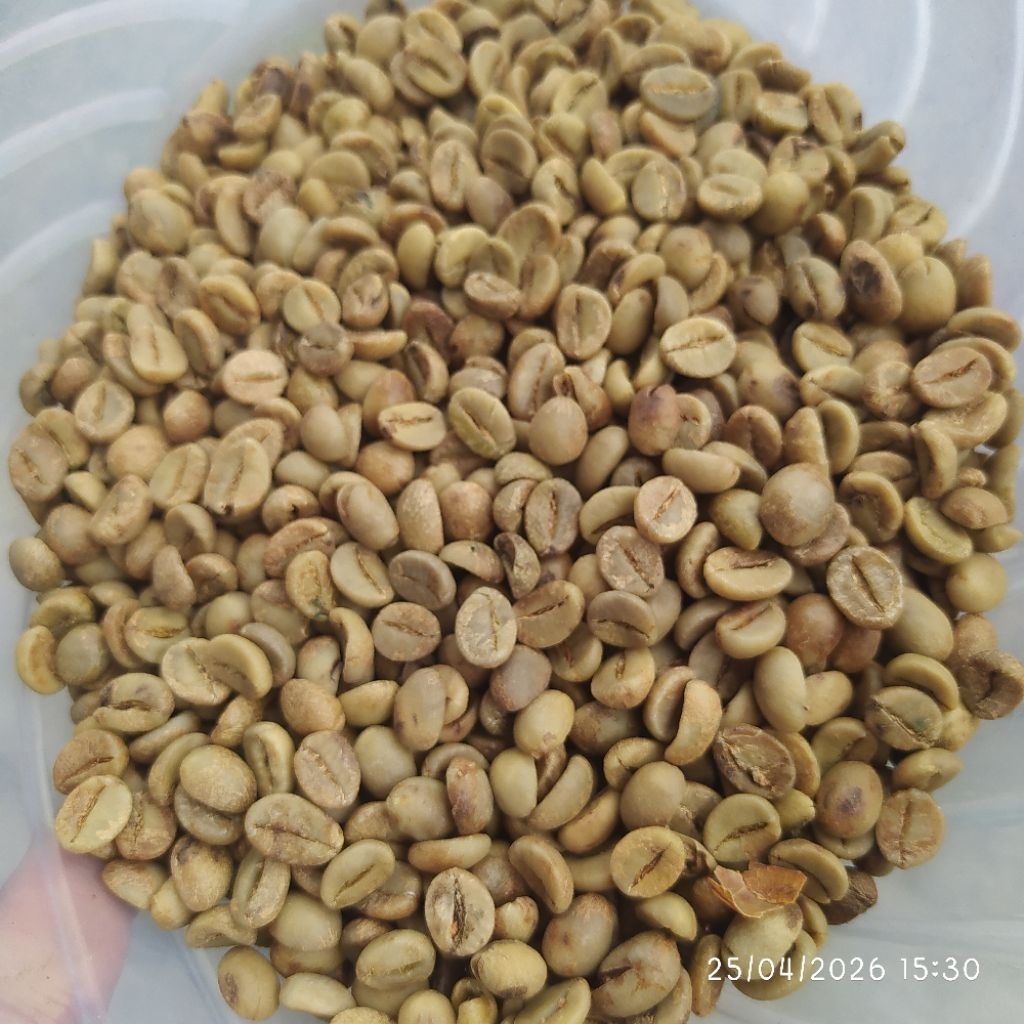 Greanbean/biji kopi robusta java klasik robusta Argopuro jember