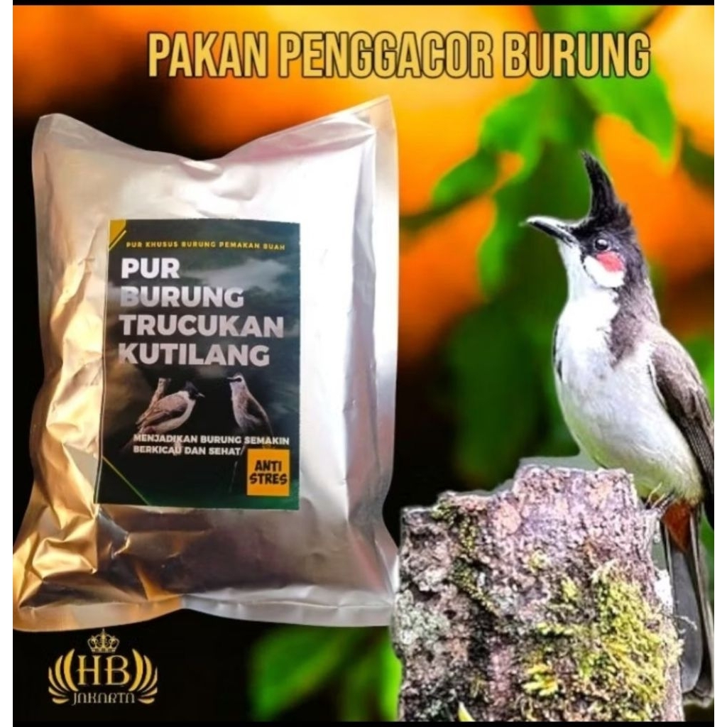 Pur penggacor burung TRUCUKAN kutilang 300 gr