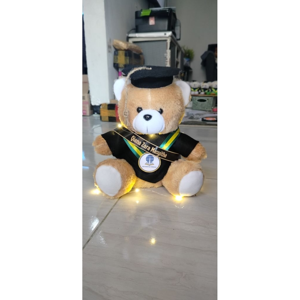 Boneka wisuda jumbo
