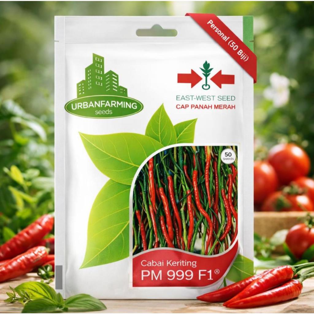 Benih Bibit Cabe Keriting PM 999 F1 Cap Panah Merah - CABAI PM 999 F1 EAST WEST SEED