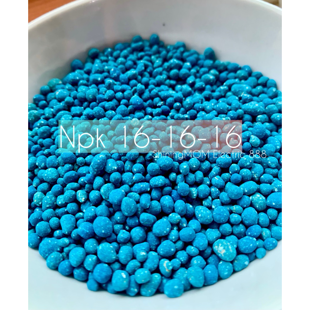 GROSIR REPACK / REPACK  Pupuk Npk 16 16 16 / NPK 15 15 15 / Sp 36 / super fosfat / Kiloan Penyubur B