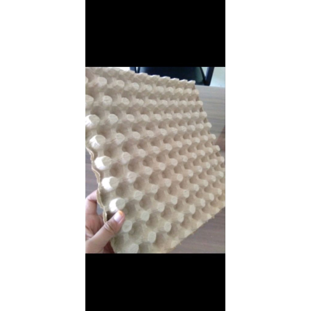 tray telur puyuh bahan karton