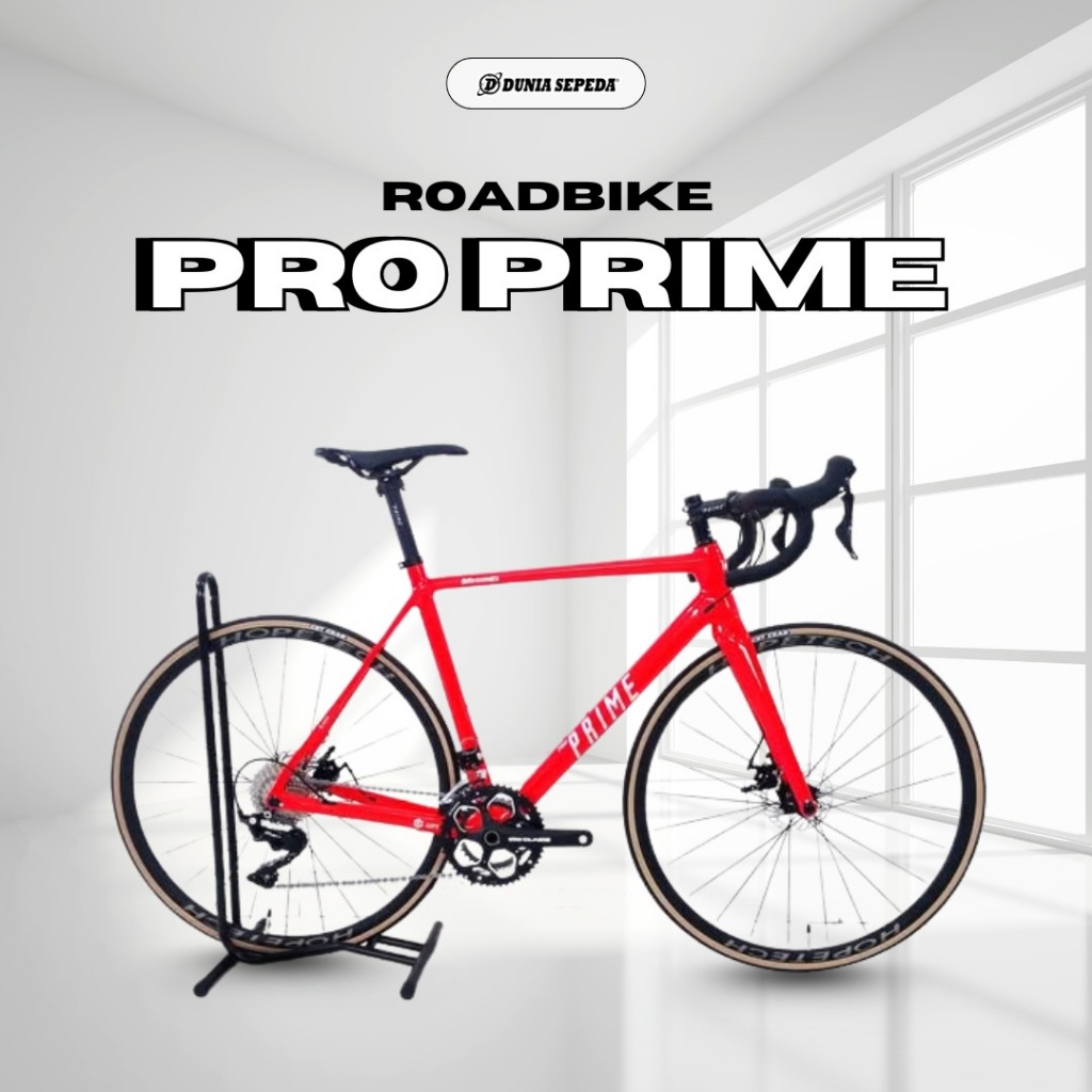 SEPEDA BALAP ROADBIKE PRO PRIME CARBON