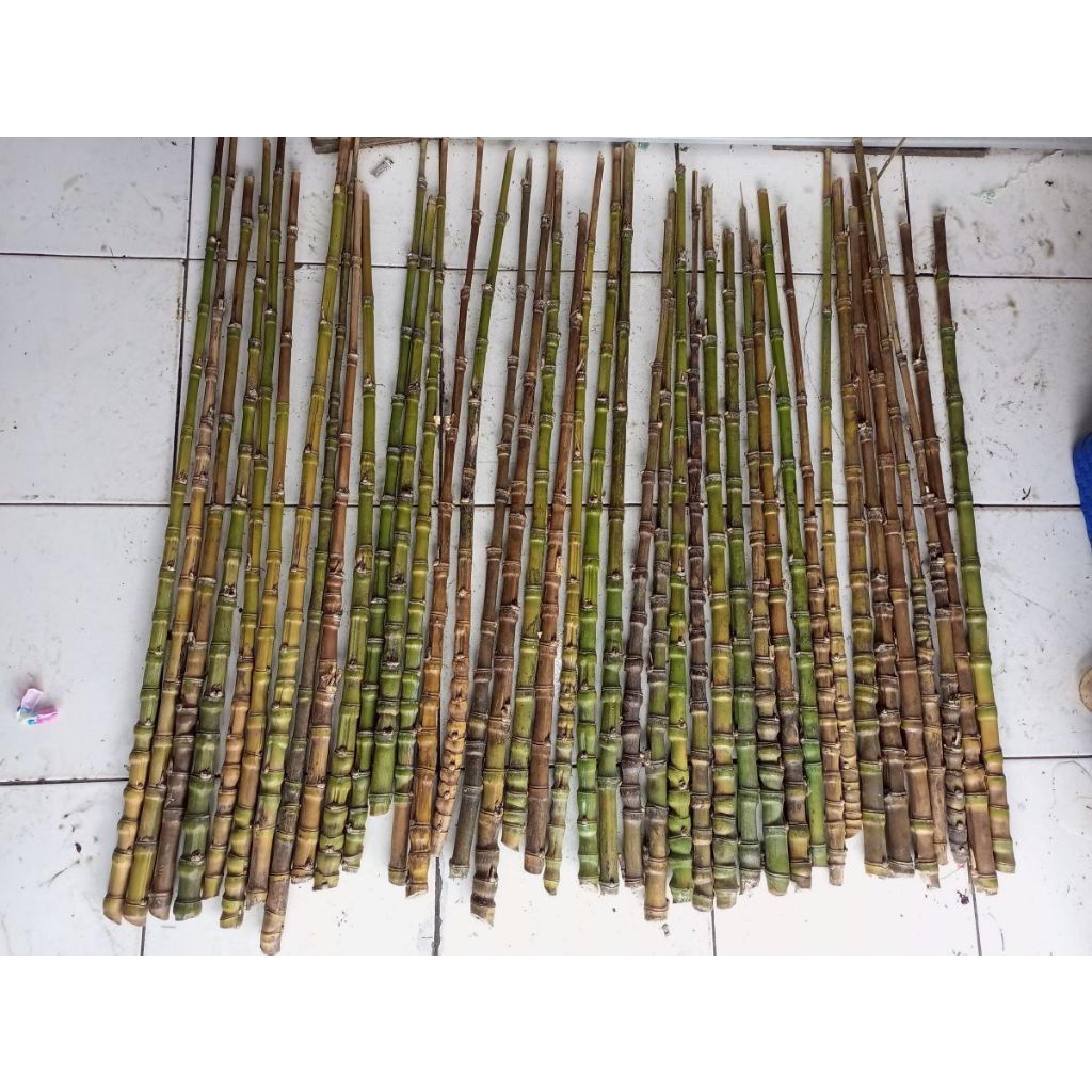 BAMBU CENDANI CUSTOM JORAN
